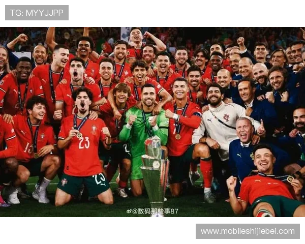 从队员角度看历届世界杯冠军，了解冠军背后的团队力量