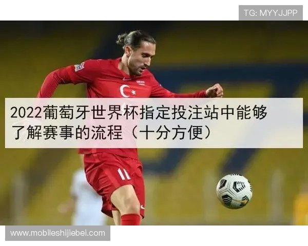 世俱杯买球官网最新指南，全面解析赛事投注流程与安全保障措施