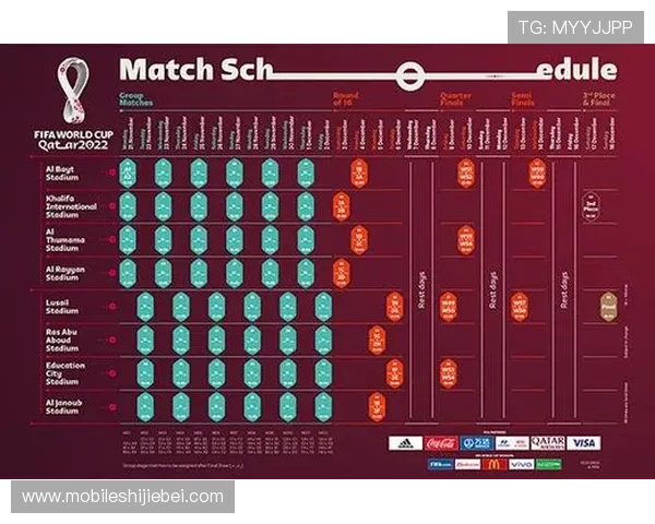 深入分析世界杯淘汰赛的对阵规则，帮助球迷理解比赛的每一步安排