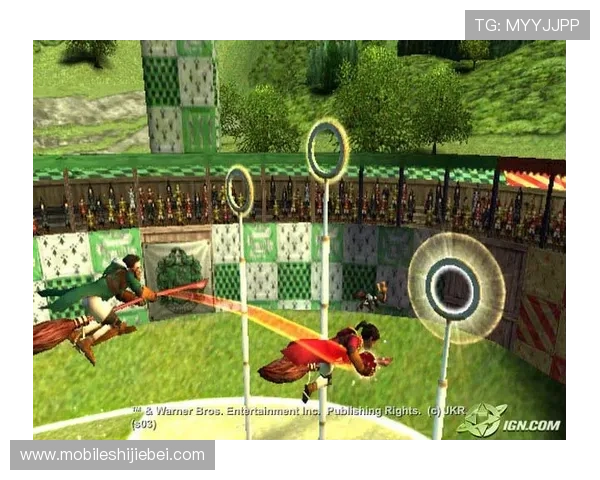 魁地奇世界杯每几年一次的举办时间安排及其对魔法界的意义