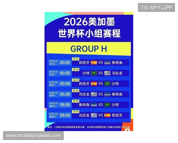 2026年世界杯48队晋级路径全攻略，全面解读晋级规则与比赛安排