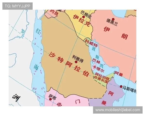 世界杯沙特VS西班牙比赛门票购买流程详解及购票注意事项